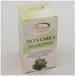 Capsule Ficus Carica,