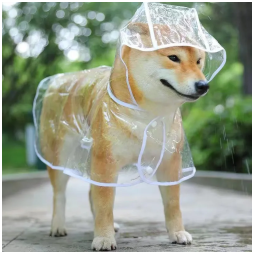 Impermeabile trasparente per cani vestiti in PVC per cuccioli e piccoli. - white,XS